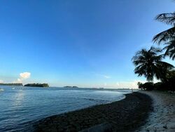 Ocean Drive (D4), Detached #553911881